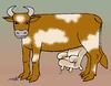 Cartoon: the cow of the power (small) by Medi Belortaja tagged cow power milk armchair corruption politicians