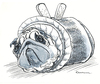 Cartoon: Rollmops (small) by Riemann tagged hund mops wortspiel rollmops fisch essen tier