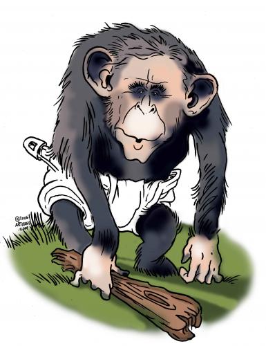 Cartoon: Bush Chimp (medium) by halltoons tagged bush,president,usa,chimp,ape