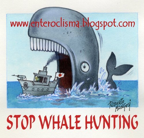 Cartoon: Stop Whale Hunting (medium) by Roberto Mangosi tagged whale,hunting