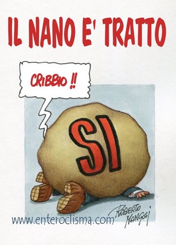 Cartoon: THE FINAL RESULT (medium) by Roberto Mangosi tagged italia,referendum,berlusconi,elezioni