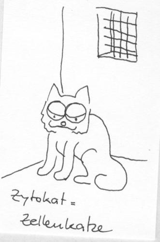 Cartoon: Katzenlexikon (medium) by manfredw tagged katze,zelle,zyto