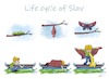 Cartoon: Life cycle of a Slav (small) by tinotoons tagged slav,alcohol,butterfly,park,bottle,drunk