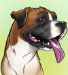 Cartoon: Charlie the Boxer (small) by nolanium tagged dog,caricature,boxer,nolan,harris,nolanium