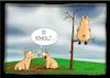 Cartoon: Höstis Schweinereien (small) by Hösti tagged hösti,cartoons,hoesti,stephan,höstermann,schweine,schweinereien