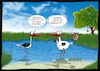 Cartoon: Höstis Vögelkunde (small) by Hösti tagged hösti,cartoons,hoesti,stephan,höstermann,vögel,vogel,ornithologie,vögelkunde