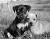 kevin_sullivan's avatar