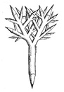 Cartoon: Pen and Tree (small) by ercan baysal tagged pen,tree,branch,ercanbaysal,sketch,turkey,handmade,art,draw,newspaper,magazine,tshirt,turkiye,logo,cartoon,illustration,line,ink