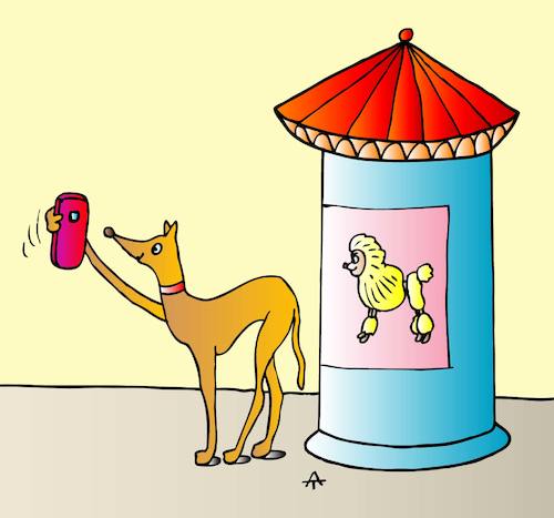 Cartoon: Dog selfie (medium) by Alexei Talimonov tagged dog,selfie