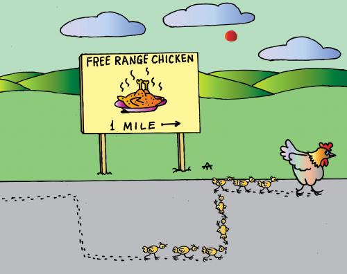 Cartoon: Free Range Chicken (medium) by Alexei Talimonov tagged free,range,chicken