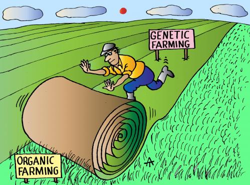 Cartoon: Genetic Farming (medium) by Alexei Talimonov tagged genetics,genetic,farming,organic
