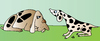 Cartoon: Two Dogs (small) by Alexei Talimonov tagged dogs,pets