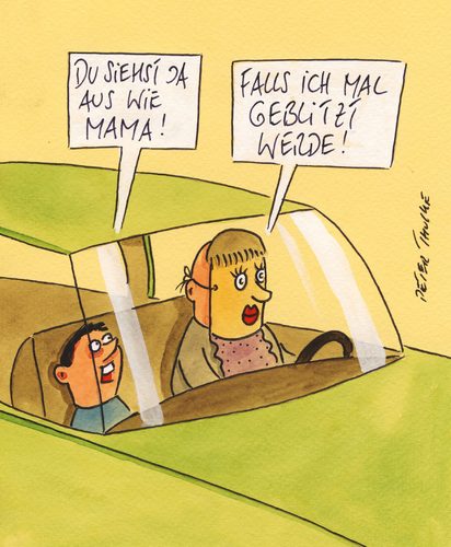 Cartoon: geblitzt (medium) by Peter Thulke tagged auto,auto