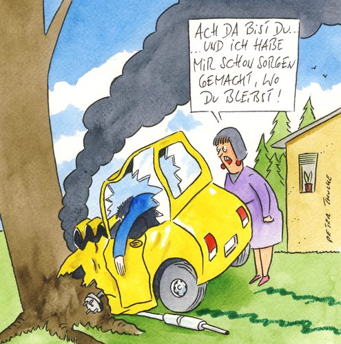 Cartoon: sorgen (medium) by Peter Thulke tagged ehe,ehe,liebe,partnerschaft,beziehung,tod,sterben,unfall,autounfall,tot,sorgen