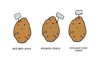 Cartoon: patato economi (small) by adimizi tagged cizgi