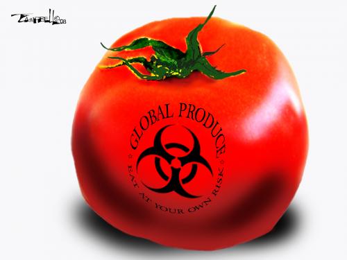 Cartoon: Poison Tomato (medium) by CARTOONISTX tagged tomato,food,safety