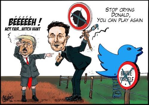 Cartoon: Back on twitter (medium) by jean gouders cartoons tagged musk,twitter,trump,musk,twitter,trump