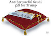 Another useful Saudi gift for Tr
