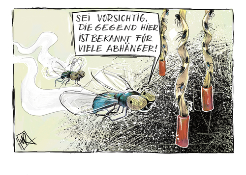 Cartoon: Fliegen Vorsicht Abhänger (medium) by Marczky tagged fliegen,fly,abhänger,schlechte,gegend