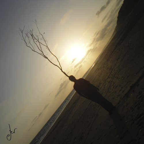 Cartoon: arbol (medium) by german ferrero tagged arbol,tree,man,beach,playa,mar,sea,antruejo,ger