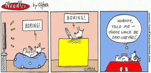 Cartoon: Hamish gets sad!.. (medium) by noodles cartoons tagged hamish,scotty,dog,tv,mobile,phone