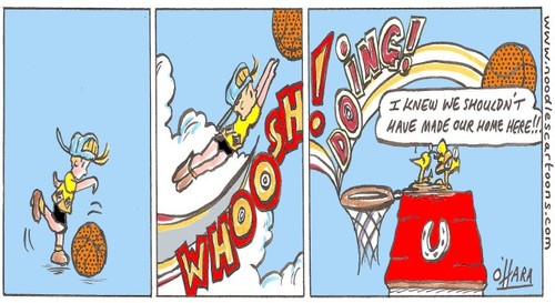 Cartoon: home!.. (medium) by noodles cartoons tagged birds,basketball,sport