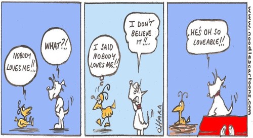 Cartoon: loveable.. (medium) by noodles cartoons tagged hamish,scotty,dog,bird,glastonbury