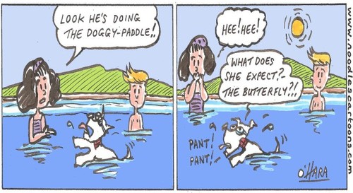 Cartoon: the doggy paddle! (medium) by noodles cartoons tagged coco,dog,sunny,swimming,art,fun,cartoon