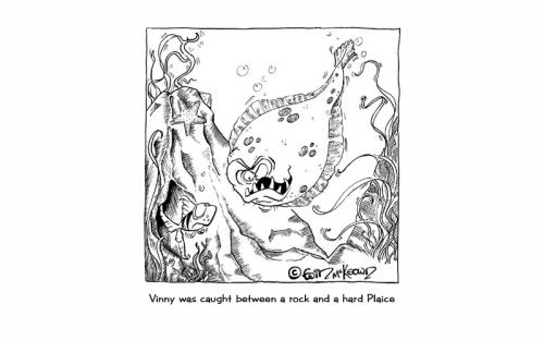 Cartoon: Between a rock and a hard plaice (medium) by Eoinymac tagged fish,rock,plaice,caught,stuck