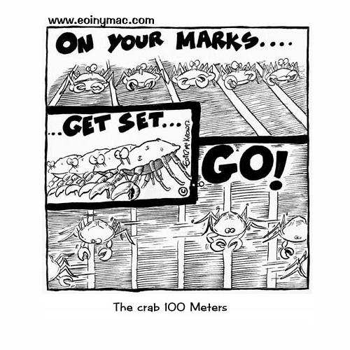 Cartoon: Crab 100 Meters (medium) by Eoinymac tagged olympics,100,meters,metres,crab,track,field