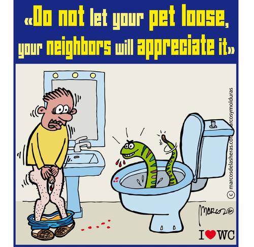Cartoon: Pets (medium) by marcosymolduras tagged bowl,wc,toilet,pets,neighbors