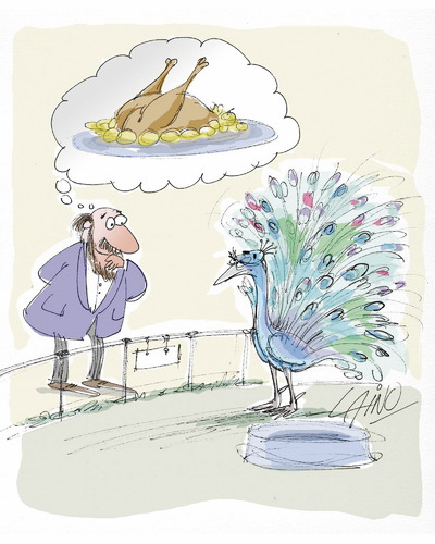 Cartoon: Peacock (medium) by LAINO tagged peacock
