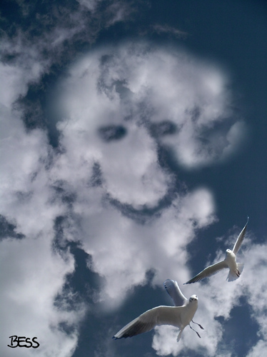 Cartoon: cloud face 21 (medium) by besscartoon tagged wolken,himmel,gesicht,cloud,möven,face,bess,besscartoon