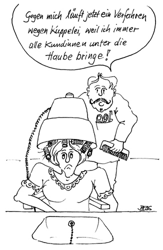 Cartoon: Wir bringen alle unter die Haube (medium) by besscartoon tagged friseur,friseursalon,haare,kuppelei,frau,haube,bess,besscartoon