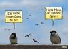 Cartoon: Spatzen-Zwist (small) by besscartoon tagged spatz,geier,vogel,mann,frau,ehe,beziehung,wohnen,bess,besscartoon