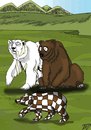 Cartoon: Bear baby (small) by Vlado Mach tagged natur bear baby animal