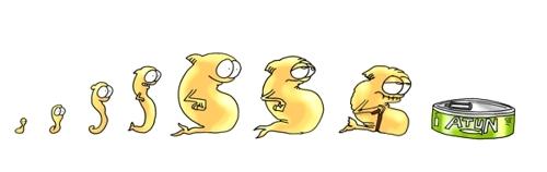 Cartoon: evolution (medium) by lucholuna tagged fish