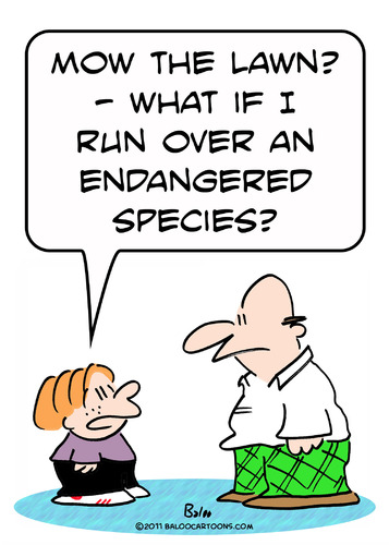 Cartoon: endangered species mow lawn (medium) by rmay tagged lawn,mow,species,endangered