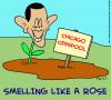 Cartoon: Obama chicago cesspool rose (small) by rmay tagged obama,chicago,cesspool,rose